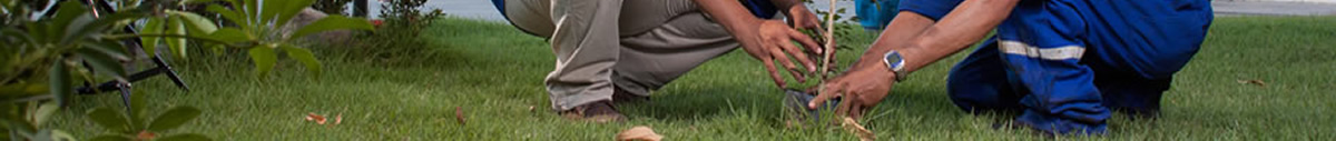 Responsabilidade Socioambiental